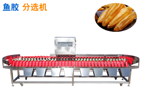 魚(yú)膠稱重分選機(jī)花膠重量分選機(jī)魚(yú)肚分揀機(jī)魚(yú)鰾分級(jí)機(jī)